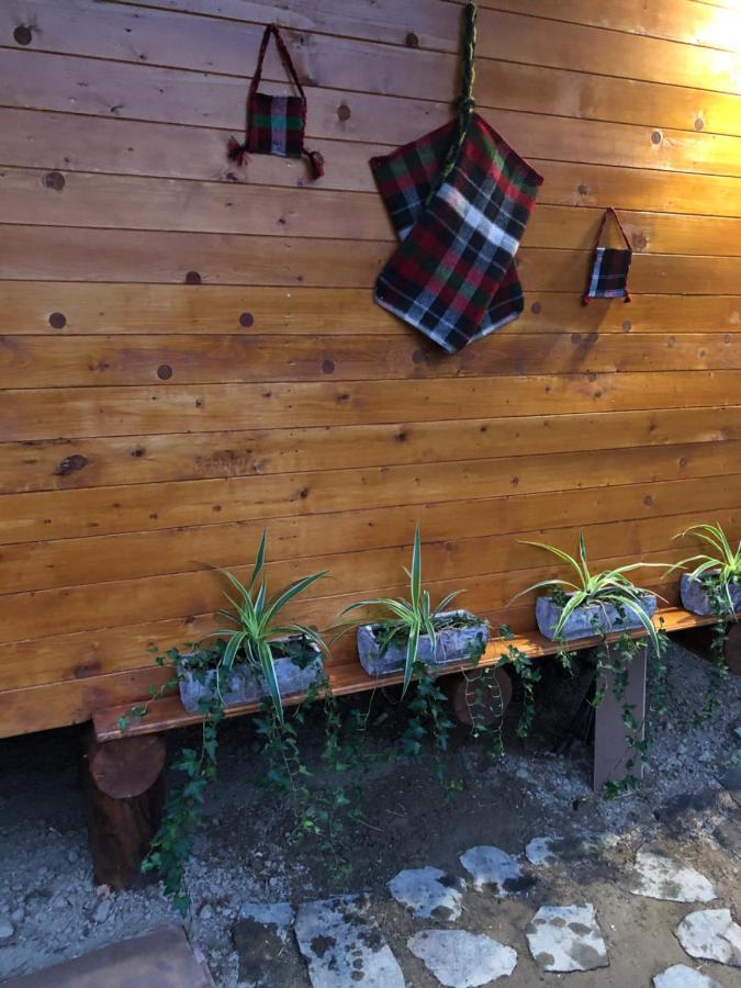 Domeniul Horj Casa Din Deal Moisei Bagian luar foto