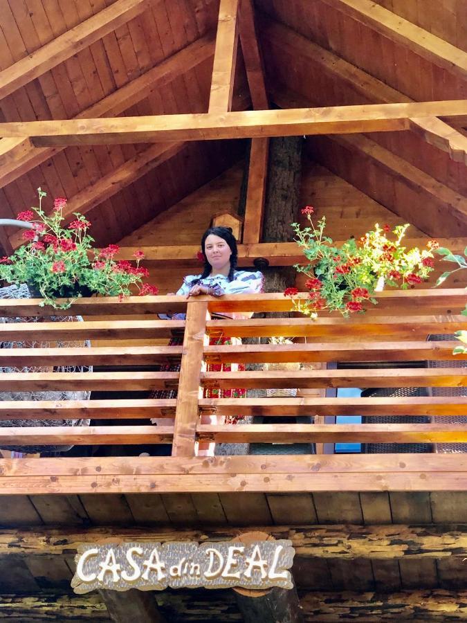 Domeniul Horj Casa Din Deal Moisei Bagian luar foto
