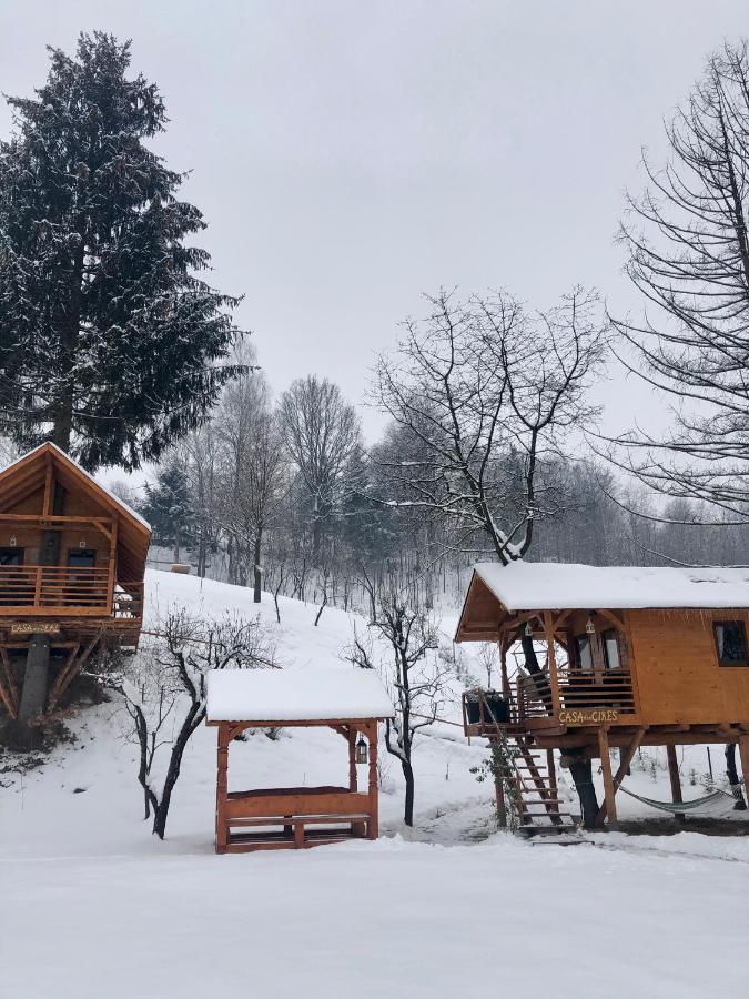 Domeniul Horj Casa Din Deal Moisei Bagian luar foto